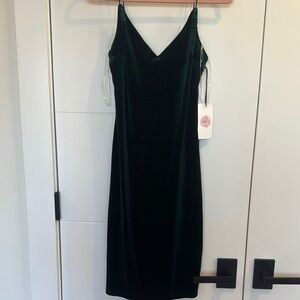 NWT Velour Dark Green Dress